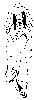 Thumb 
for FACE009.jpg (38 
KB)