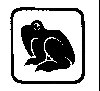 Thumb 
for FROGGIE.jpg (16 
KB)