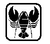 Thumb 
for LOBSTER.jpg (22 
KB)