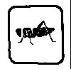 Thumb 
for LOCUST.jpg (14 
KB)