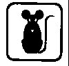 Thumb 
for MOUSE.jpg (12 
KB)