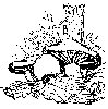 Thumb 
for MUSHRM1.jpg (86 
KB)
