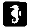 Thumb 
for SEAHORSE.jpg (8 
KB)