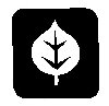 Thumb 
for WYTELEAF.jpg (10 
KB)