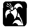 Thumb 
for WYTELILY.jpg (14 
KB)