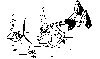 Thumb 
for DIVER.jpg (60 
KB)