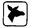 Thumb 
for DONKEY.jpg (11 
KB)