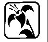 Thumb 
for ESTRLILY.jpg (18 
KB)