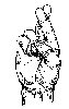 Thumb 
for FINGERS.jpg (58 
KB)