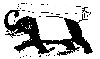 Thumb
for ELEPHANT.jpg (85
KB)