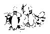 Thumb 
for BOWLING2.jpg (32 
KB)