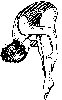 Thumb 
for DIVING2.jpg (65 
KB)