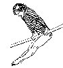 Thumb 
for GYMNAST1.jpg (43 
KB)