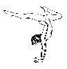 Thumb 
for GYMNAST2.jpg (18 
KB)