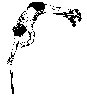 Thumb 
for TRACK3.jpg (22 
KB)