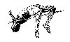 Thumb 
for TRACK4.jpg (33 
KB)