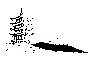 Thumb 
for JAPAN.jpg (52 
KB)