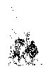 Thumb 
for PERU.jpg (79 
KB)