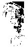 Thumb 
for TOURIST1.jpg (90 
KB)