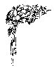 Thumb 
for BOUQUET.jpg (110 
KB)
