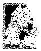 Thumb 
for BRIDE3.jpg (236 
KB)