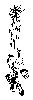 Thumb 
for TINCANS.jpg (55 
KB)
