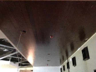 Thumb
for IMG_0090.JPG (115
KB)