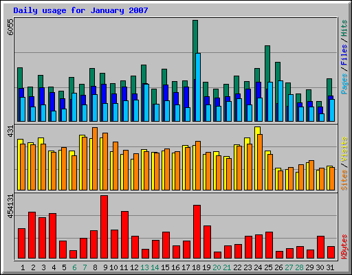 Daily usage for January 2007