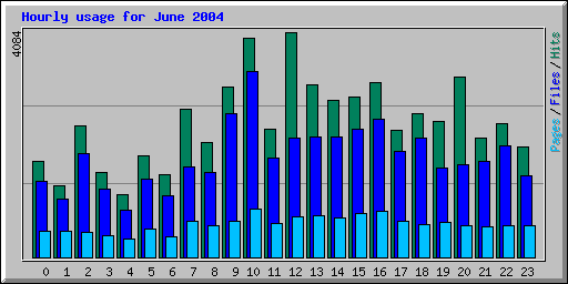 Hourly usage for June 2004