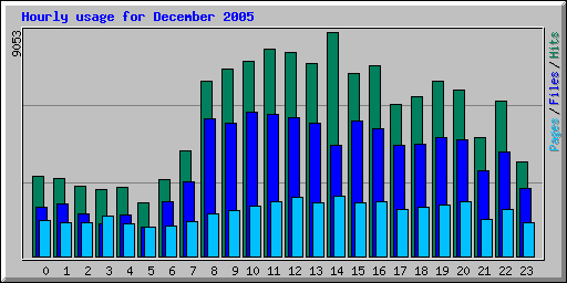 Hourly usage for December 2005