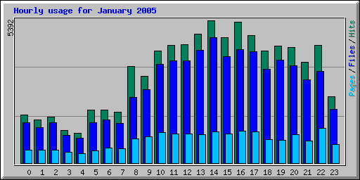 Hourly usage for January 2005