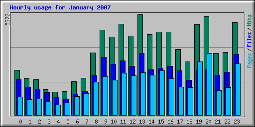 Hourly usage for January 2007