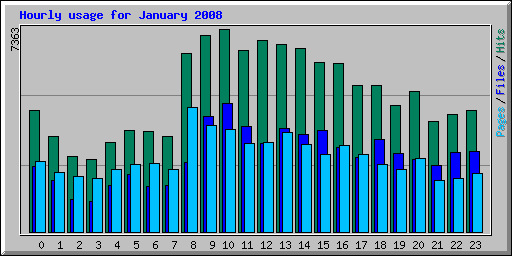 Hourly usage for January 2008