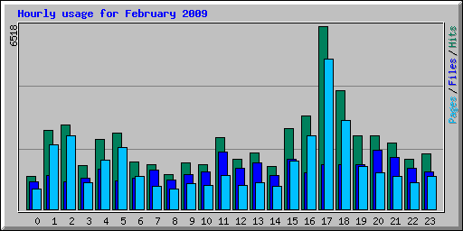 Hourly usage for February 2009