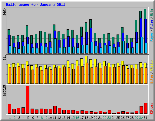 Daily usage for January 2011