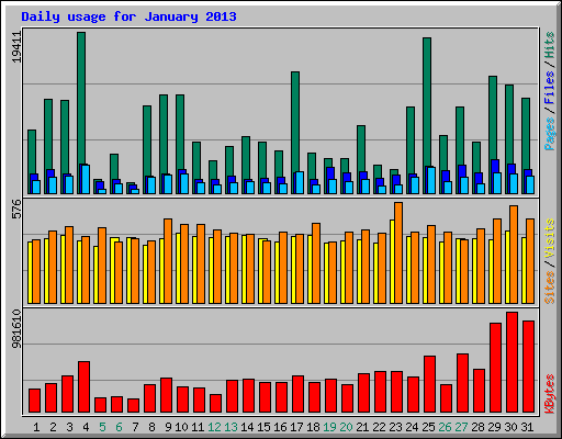 Daily usage for January 2013