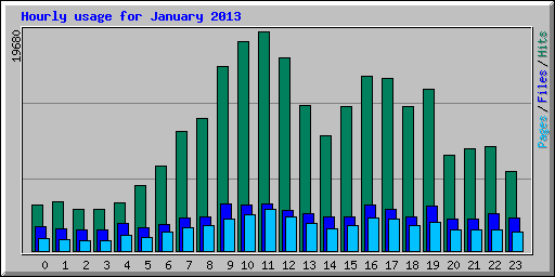 Hourly usage for January 2013