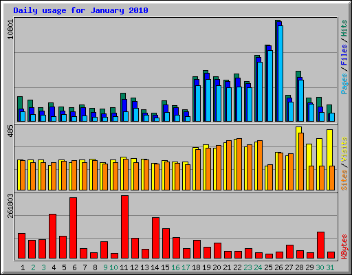 Daily usage for January 2010
