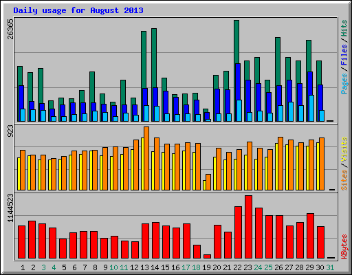 Daily usage for August 2013