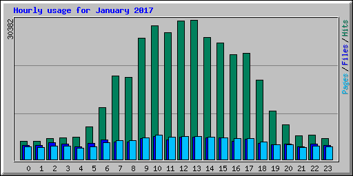 Hourly usage for January 2017