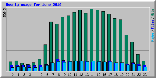 Hourly usage for June 2019