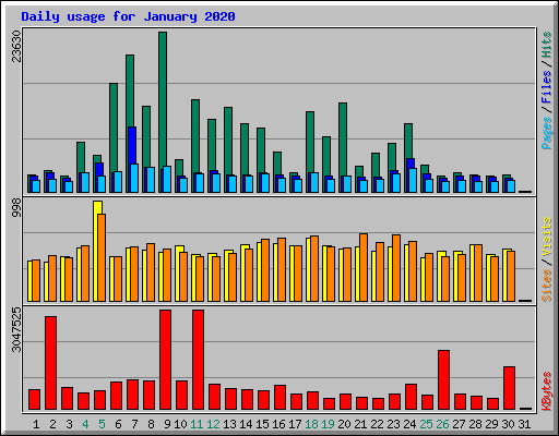 Daily usage for January 2020