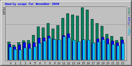 Hourly usage for November 2020
