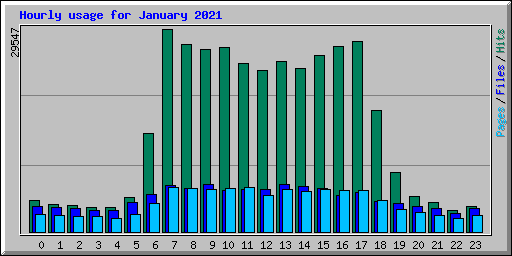 Hourly usage for January 2021