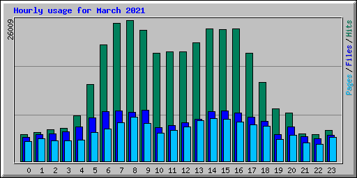 Hourly usage for March 2021