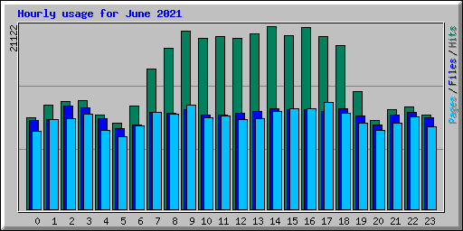 Hourly usage for June 2021