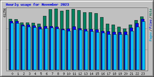 Hourly usage for November 2023