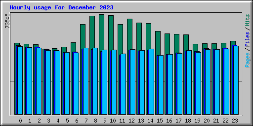 Hourly usage for December 2023