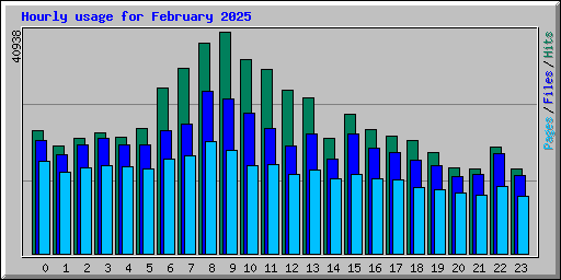 Hourly usage for February 2025