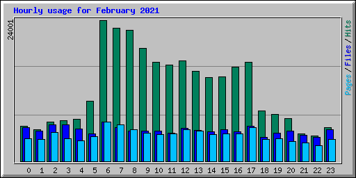 Hourly usage for February 2021